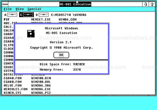 Windows 2.10 - Información del sistema