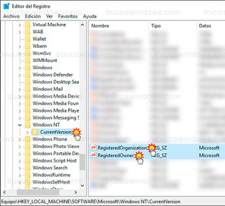 Windows 10 - RegisteredOwner - RegisteredOrganization