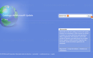 Microsoft - Catálogo de Microsoft Update