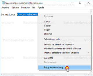 Bloc de notas - Buscar con Bing en el Bloc de notas