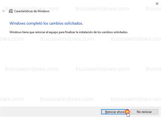 Características de Windows - Reiniciar ahora