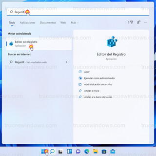 Windows 11 - Editor del Registro