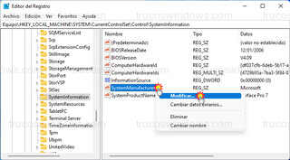Editor del Registro - SystemManufacturer > Modificar...