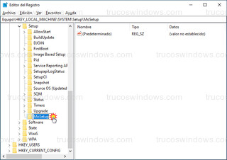 Editor del registro - Clave MoSetup