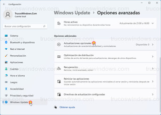 Windows Update - Opciones avanzadas > Actualizaciones opcionales (W11)
