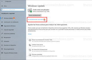 Windows Update - Ver actualizaciones opcionales (W10)