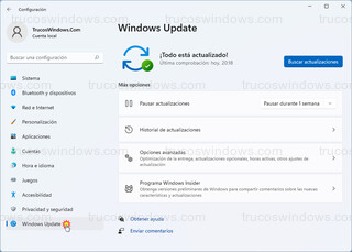 Configuración de Windows - Windows Update (W11)