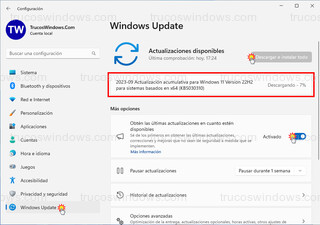 Windows 11 - Windows Update - Actualizaciones disponibles