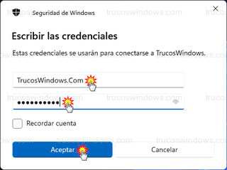 Seguridad de Windows - Escribir las credenciales