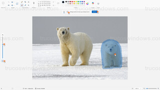 Microsoft Paint - Eliminar objeto de foto