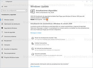 Windows Update - Instalando actualizacion automaticamente