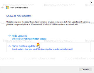 Show or Hide Updated - Show hidden updates