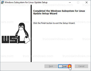 Windows Subsystem for Linux Update Setup - Finalizar instalación