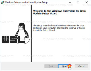 Windows Subsystem for Linux Update Setup - Iniciar instalación