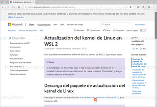 Microsoft Edge - Kernel de Linux en WSL 2