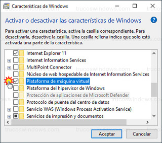 Características de Windows - Plataforma de máquina virtual