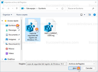 Importar archivo del Registro - Abrir archivo de registro