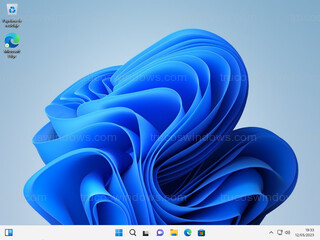 Windows 11 - Escritorio por defecto de Windows 11