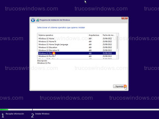 Programa de configuración de Windows 11 - Instalar Windows 11 Pro