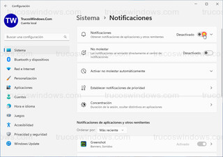 Windows 11 - Desactivar todas las notificaciones